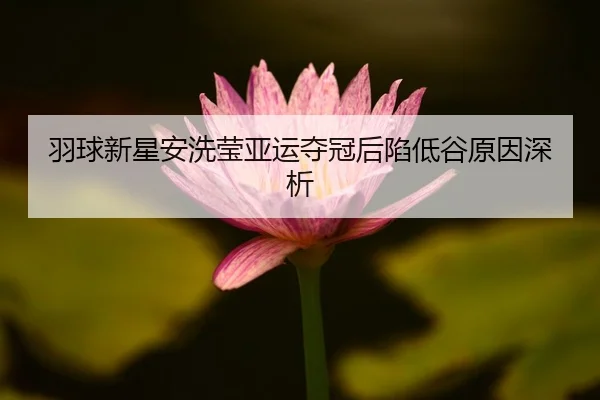 羽球新星安洗莹亚运夺冠后陷低谷原因深析
