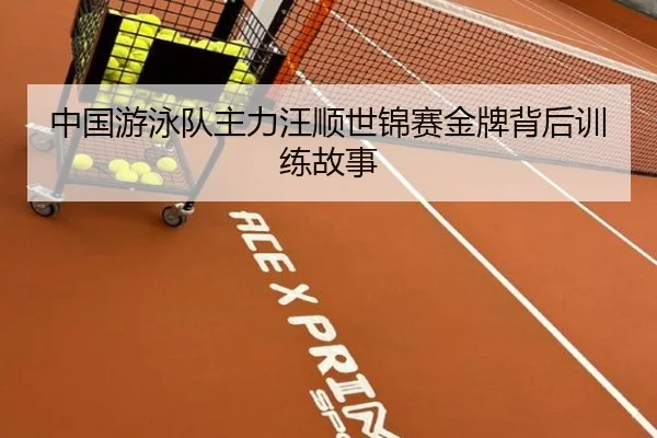 中国游泳队主力汪顺世锦赛金牌背后训练故事