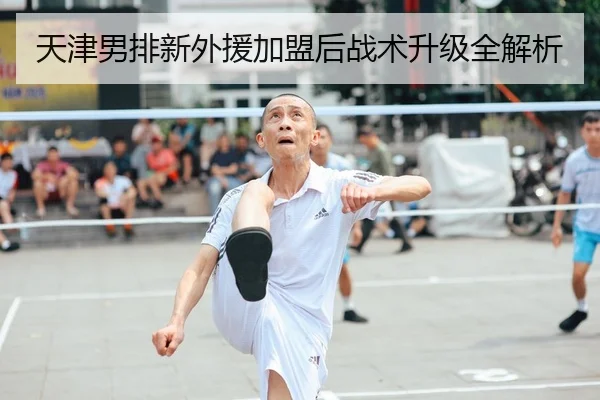 天津男排新外援加盟后战术升级全解析